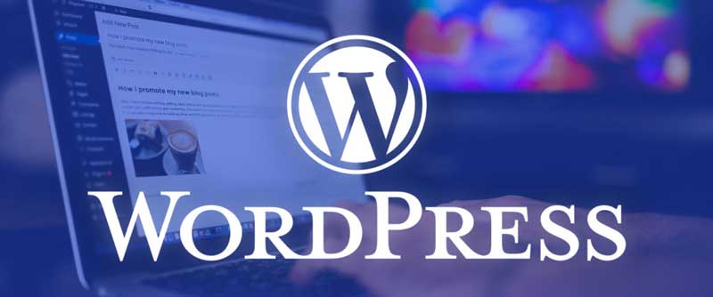 Best WordPress Web Design Company in Kenya Nairobi Digital 4 Africa