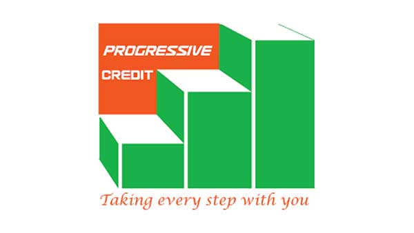 progressive credit digital marketing and pr training by digital 4 africa