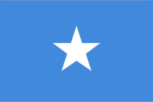 Somalia state of digital repot