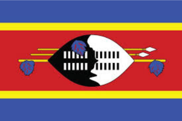 Swaziland state of digital report