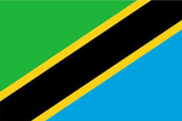 Tanzania state of digital report