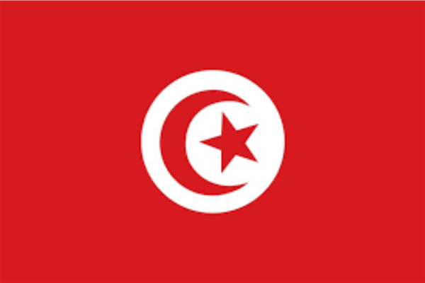 Tunisia state of digital report
