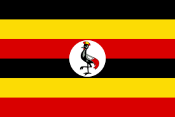 Uganda state of digital report
