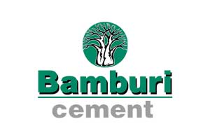 Our Clients Bamburi Cement Website Development Company