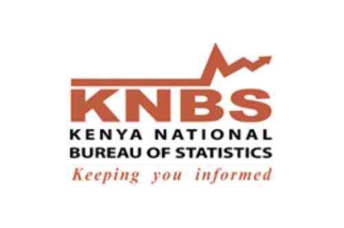 Digital 4 Africa - Best AI Automation, Web Design and Data Analytics Company in Kenya logo KNBS