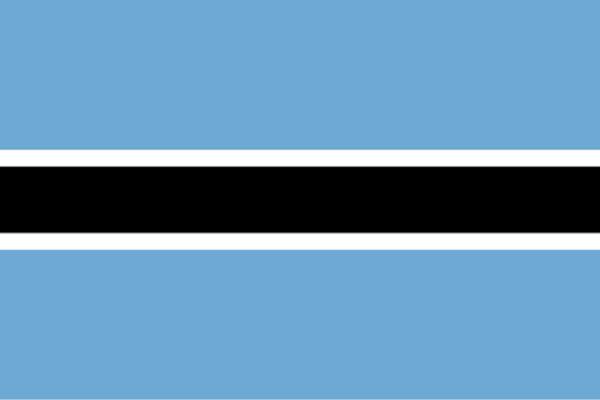 Botswana Digital 4 Africa African Countries We Serve