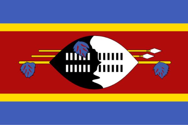 Eswatini - Digital 4 Africa_ African Countries We Serve