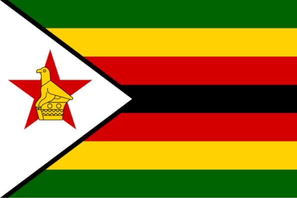 Zimbabwe Digital 4 Africa African Countries We Serve